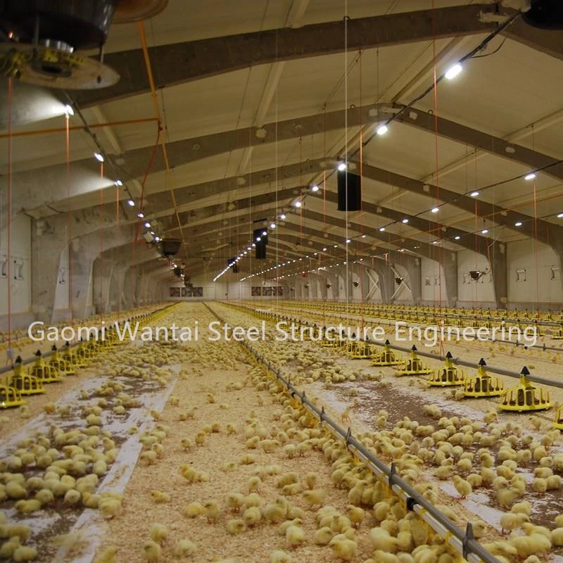 Prefabricated Steel Structure Chicken Poultry Breeding Houses