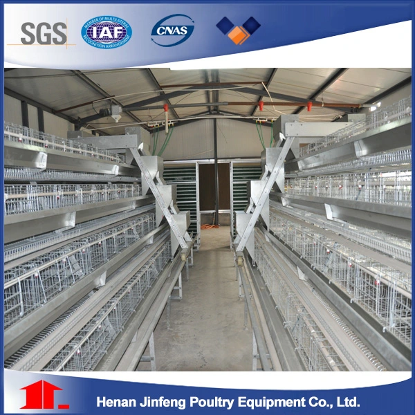 Poultry Farm Chicken Cage for Chicken House