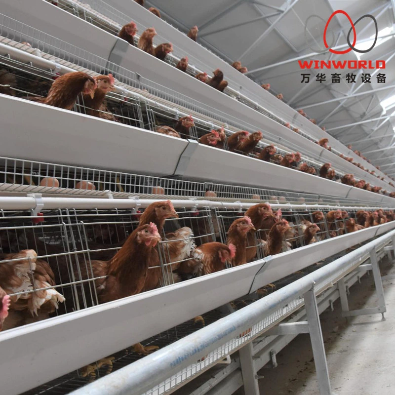 Good Quality for a Type Chicken Farming Layer Chicken Cage