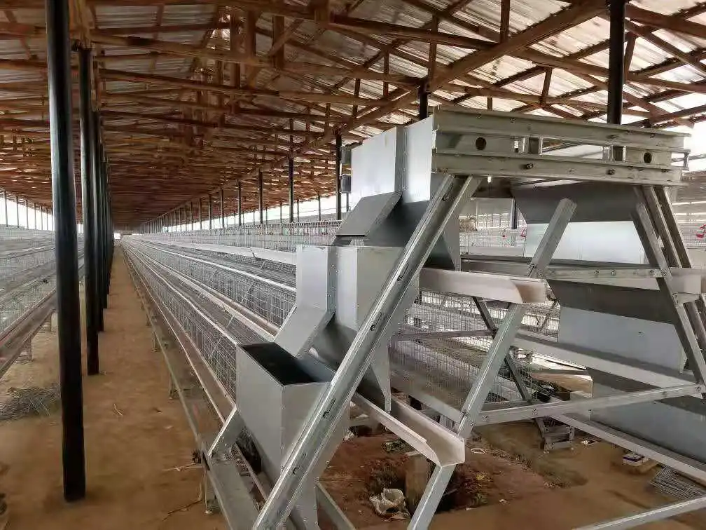 Modern Design Full Automated Layer Chicken Cage for Sale