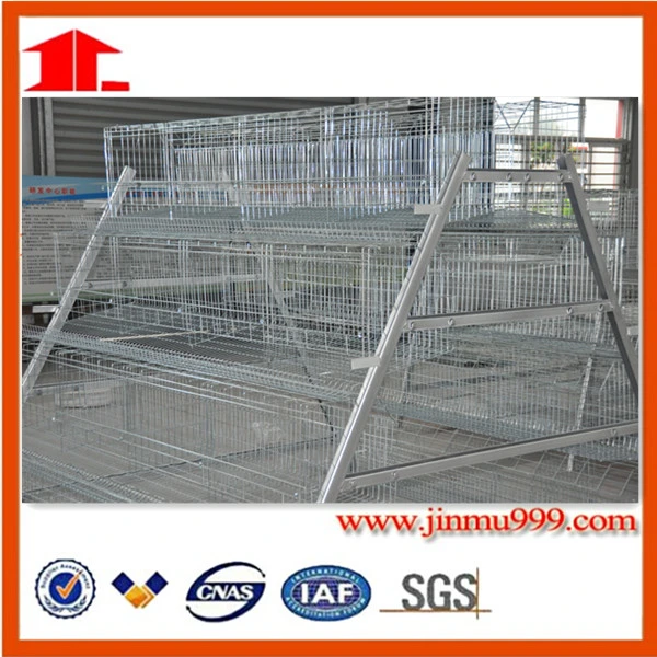 Jfa4120 South Africa Best Sale Chicken Egg Layer Cages