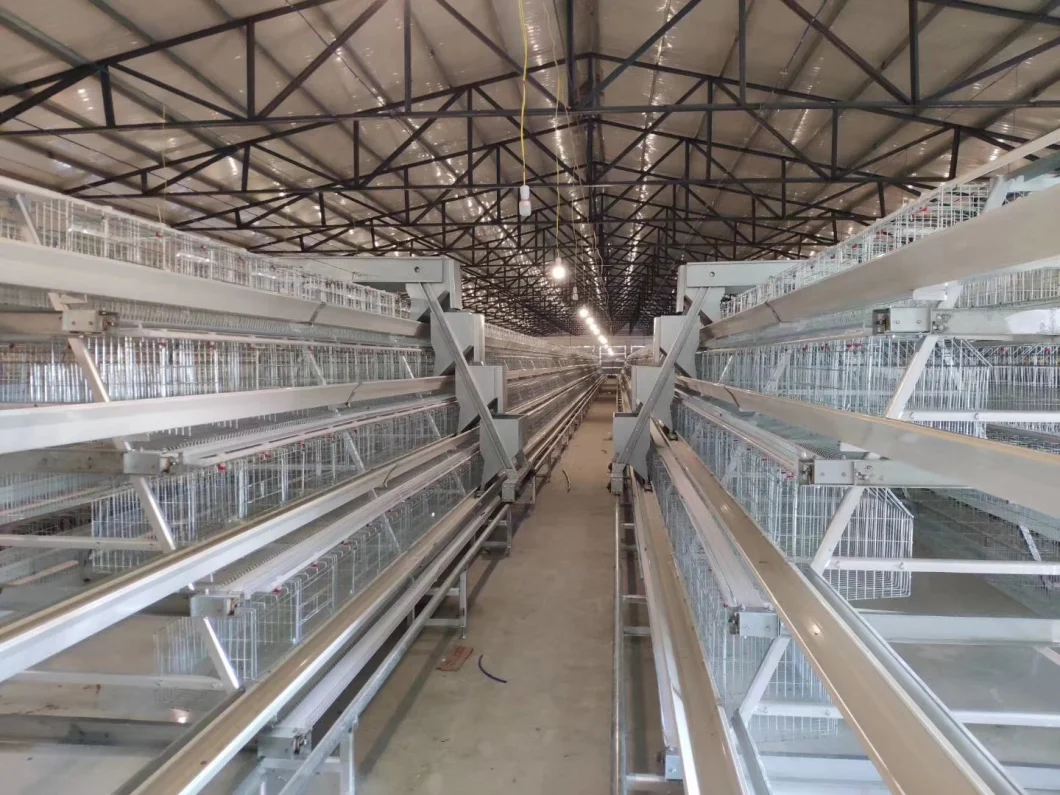 Chicken Cage Ventilation System Poultry Farm Equipment for Chicken House