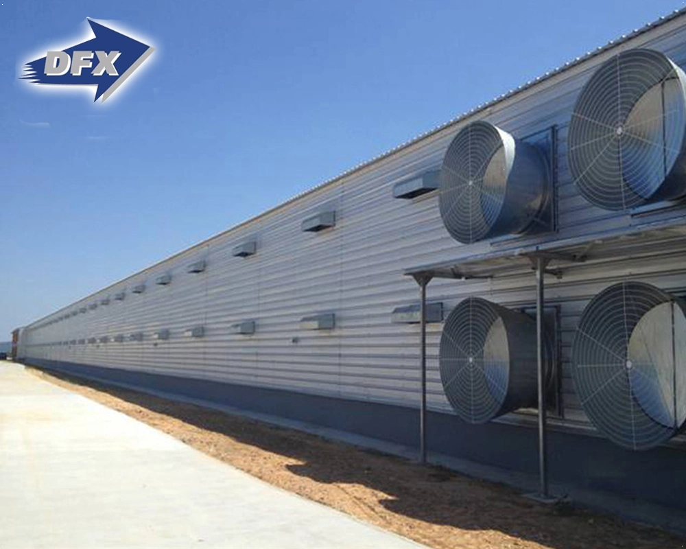 High Quality Durable Large Span Steel Structure Breeding Chicken House
