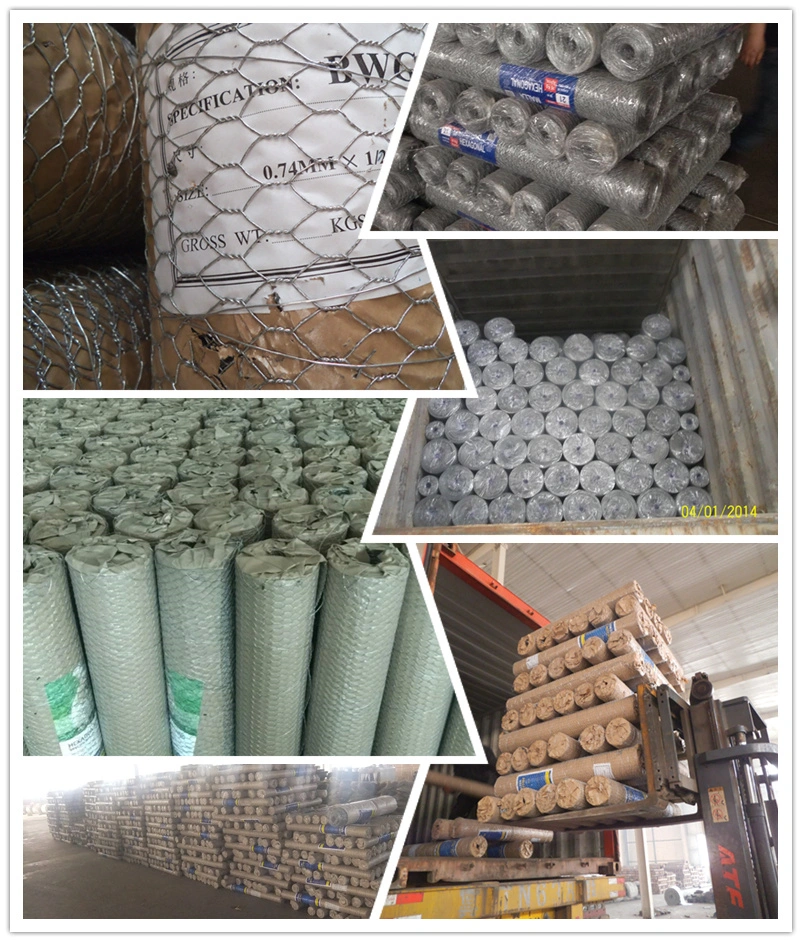 Chicken Wire Mesh Fence Chicken Coop Iron Wiremesh