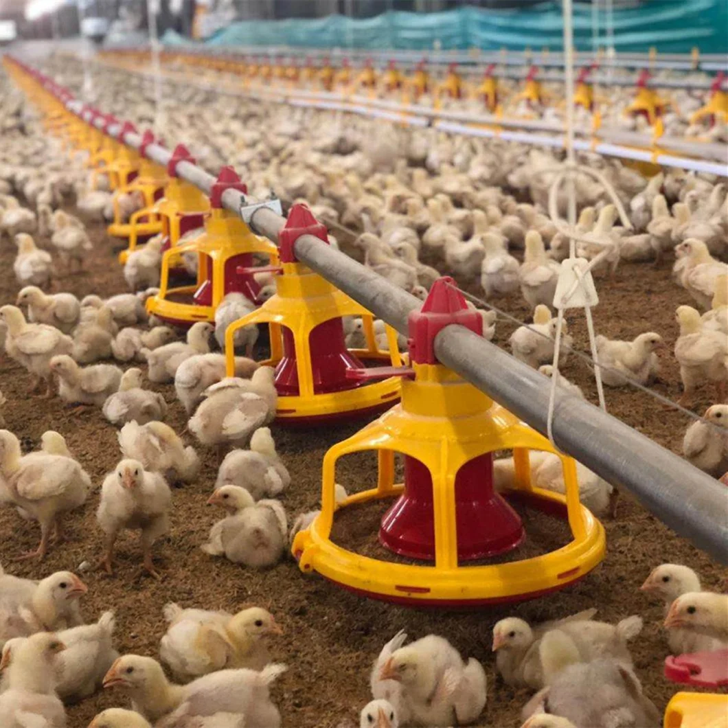 Automatic Poultry House Feeding Pan Equipment for Broiler Chickens