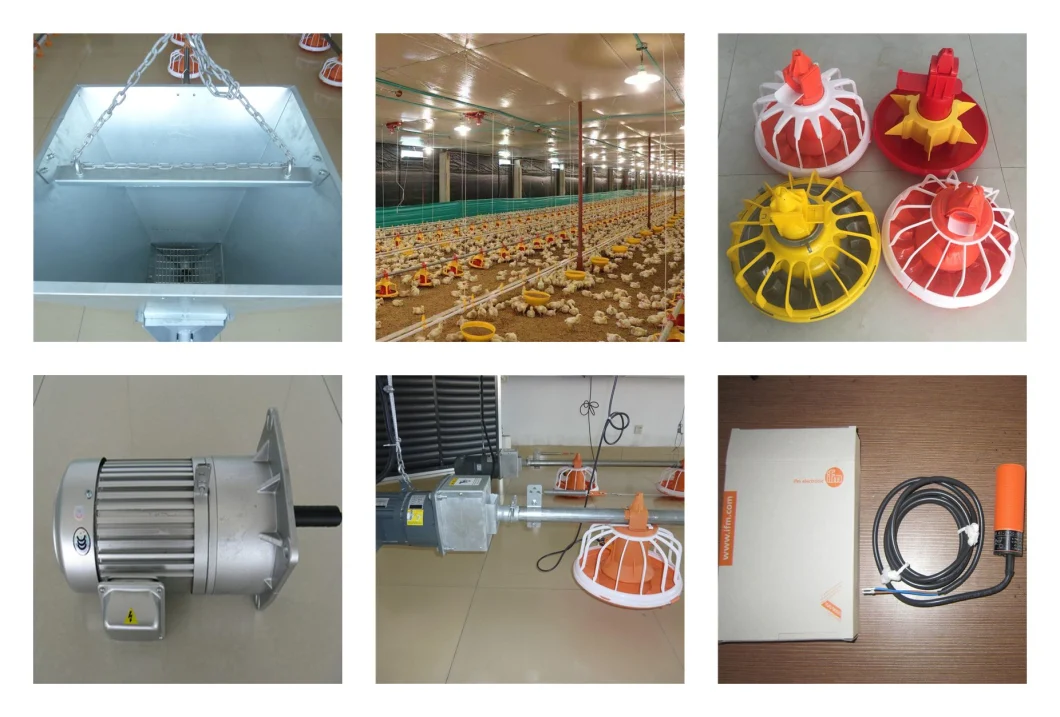 New Technology Automatic Pan Feeding Line System for Chickens