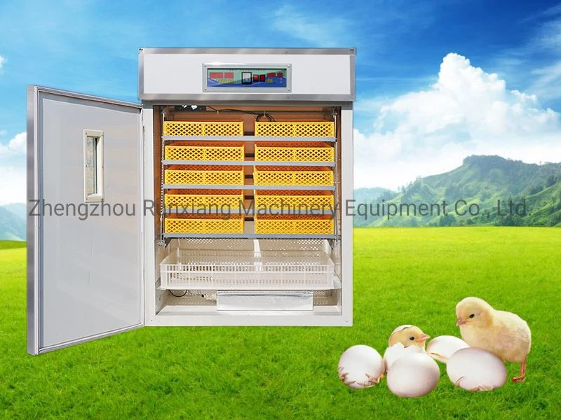 Hot Sale Automatic 5000 Chicken Egg Incubator Large.