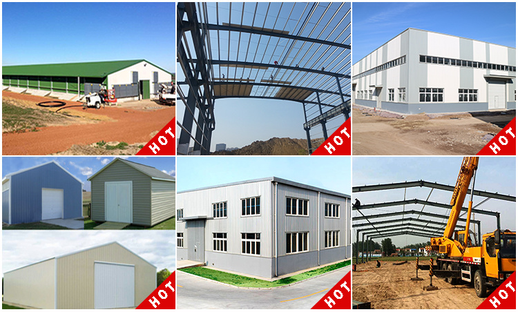 Industrial Steel Poultry House Metal Structure Chicken Farm Sheds