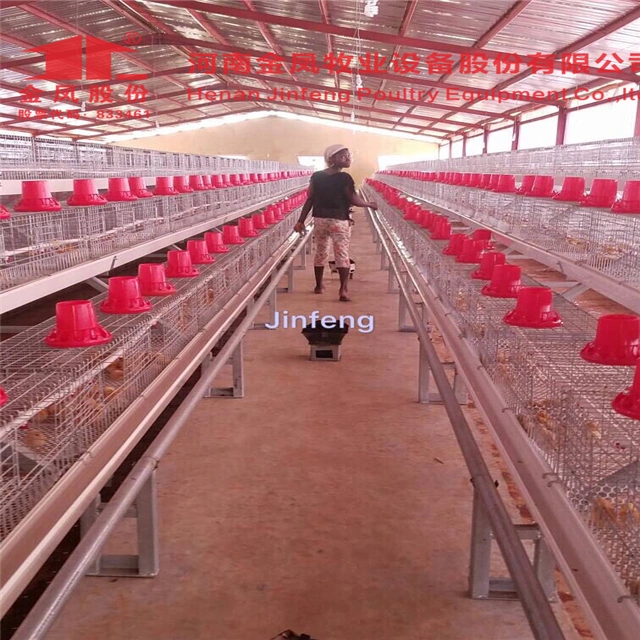 Uganda Chicken Coop Chicken Brooder Poultry Cage