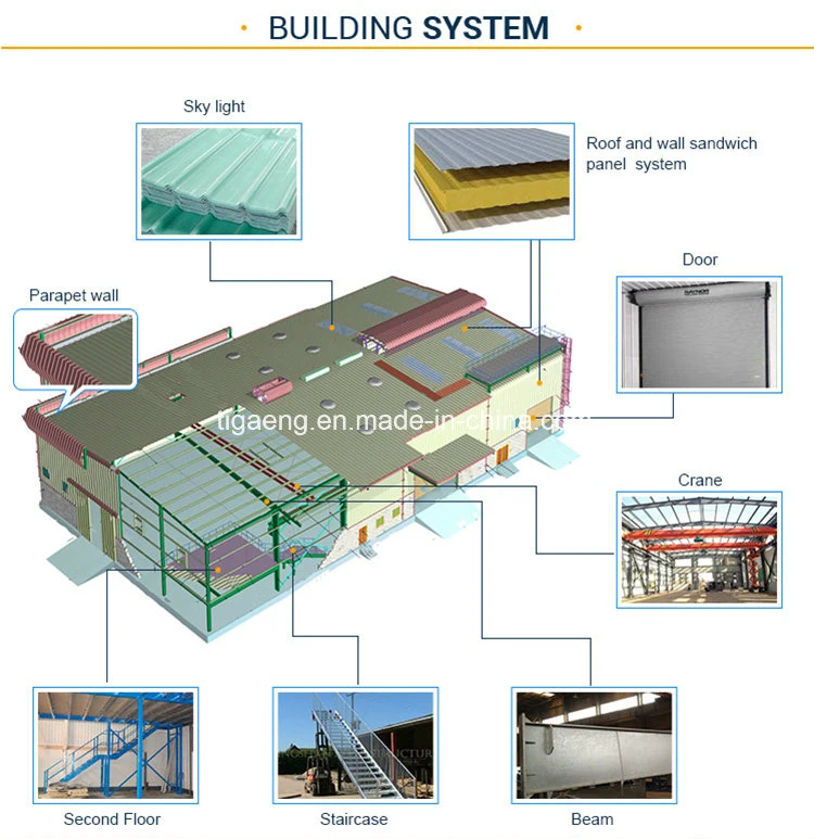 Large Scale Steel Structure Chicken House Building Design Poultry Farming Shed