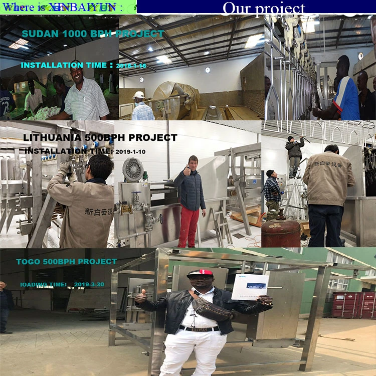 Halal Chicken Butcher Equipment Poultry Chicken Slaughter Plucking Machine Equipment Line for Sale