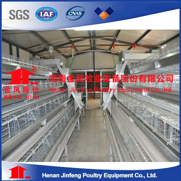 Chicken Farm Battery Chicken Layer Cage Sale for Poultry Farms