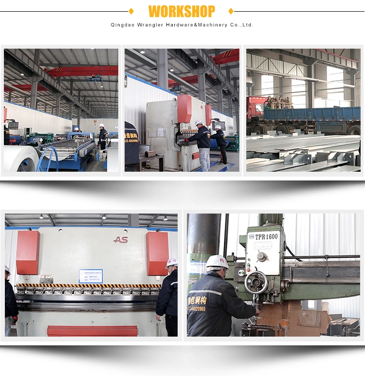 Manufacturers Supply High Quality Breeding Products Plastic Animal Chicken Cage for Transport of Chickens