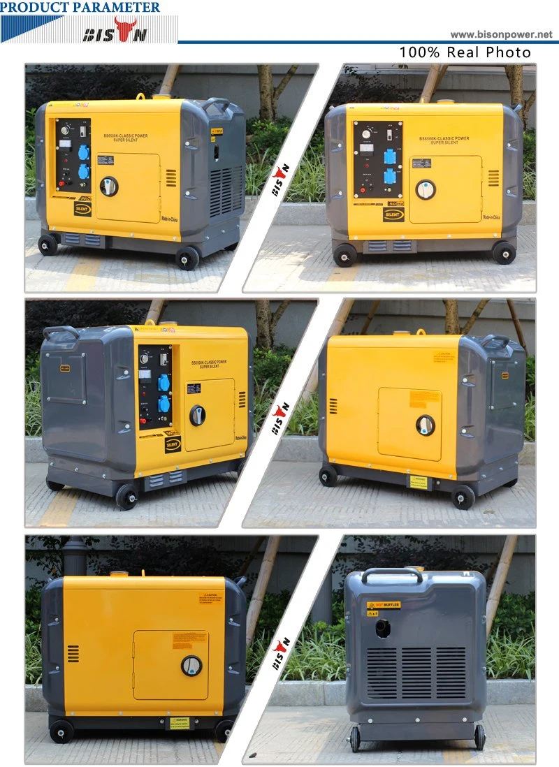 Bison (China) BS6500dsea 5kw 5000W Copper Wire Long Run Time Super Silent Type Diesel Generator Portable