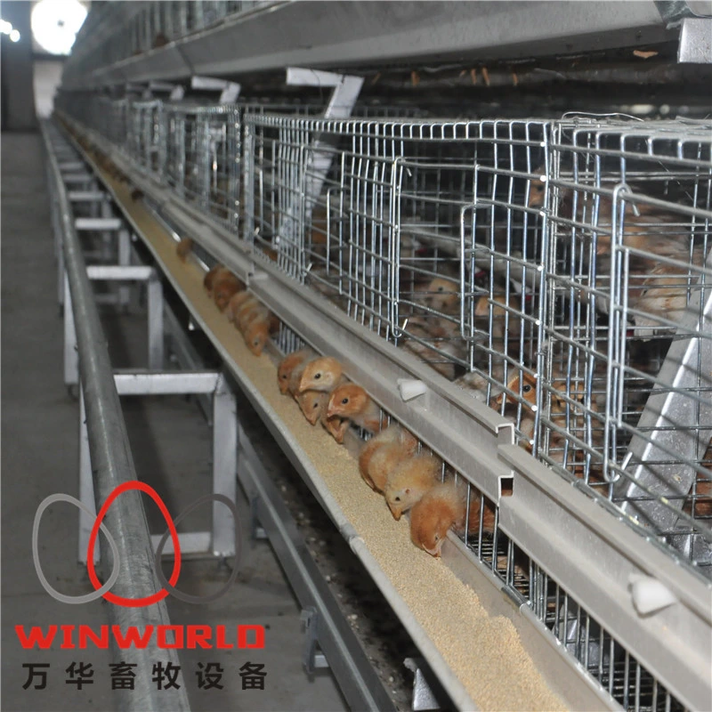 Wholesale Prices Pullet Chicken Cage Chick Chicken Cage