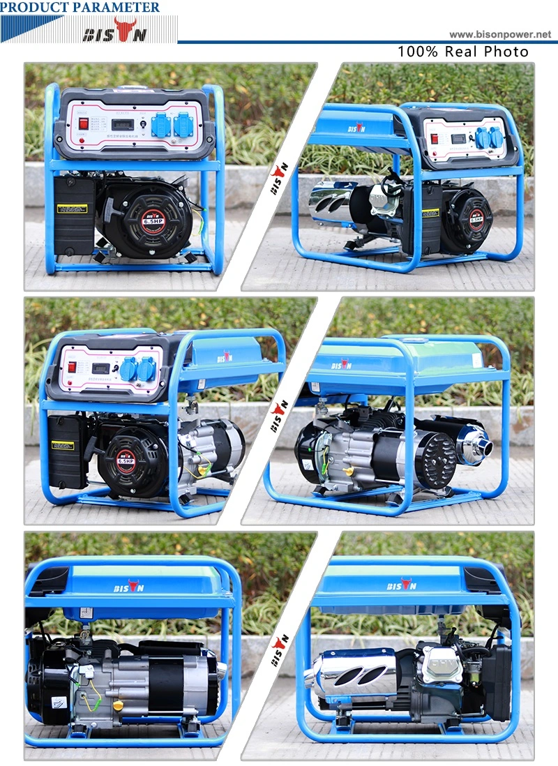 Bison (China) BS3500e 2.8kw 2.8kVA Long Run Time Durable Power Portable Gasoline Electric Generator