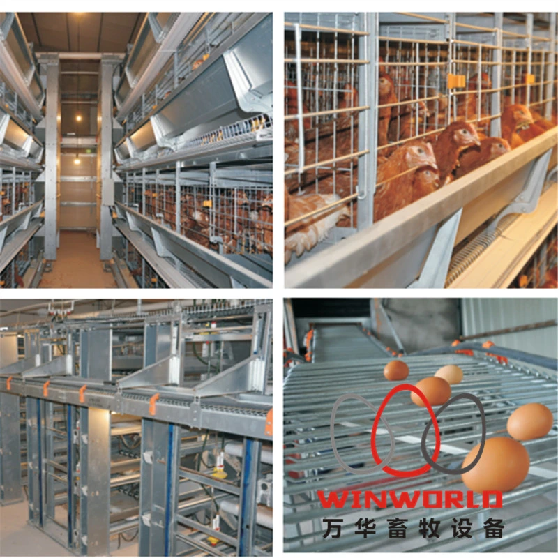 Chicken Breeding Cage/Layer Egg Chicken Cage/Poultry Farm House Design