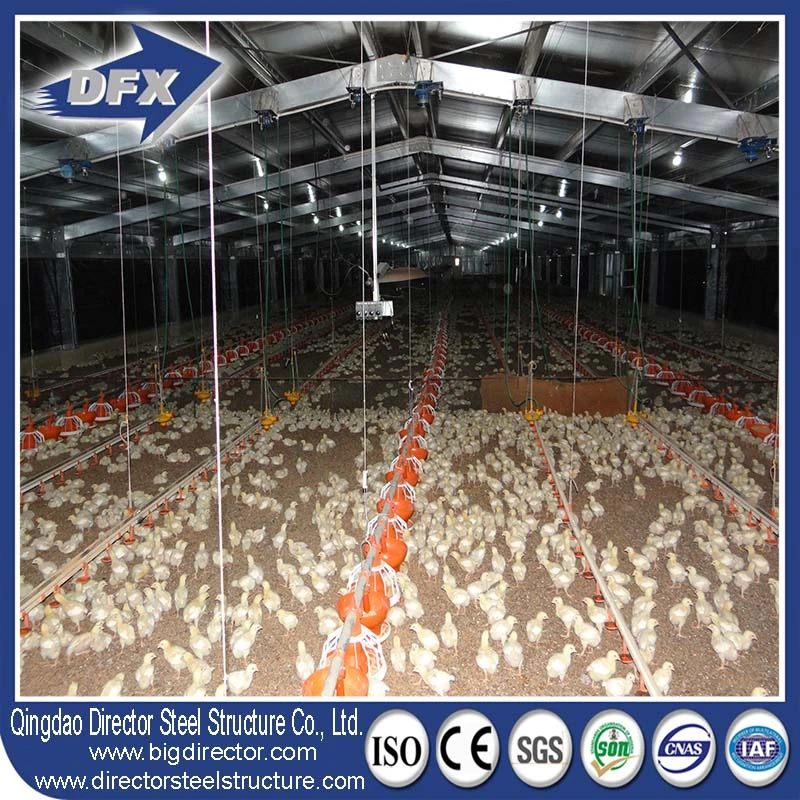 3D3s Designs Hot Sale Chicken Poultry Breeding Houses