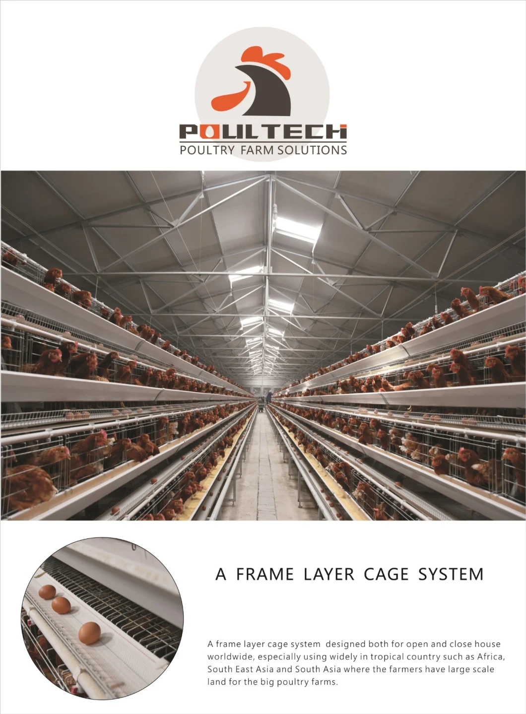 Hot Sale Layer, Broiler, Pullet Chicken Cage Equipment for Chicken House