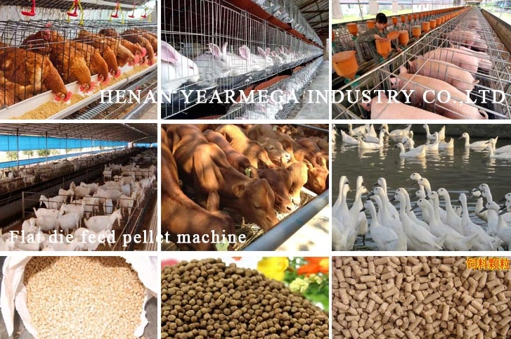 Small Size for Home Use Chicken Feed Pellet Making Machine