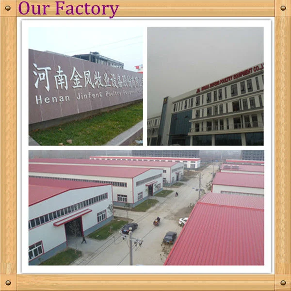 Hot Galvanized China Wholesale Custom Chicken Farm Poultry Cage for Sale