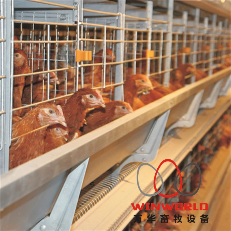 Chicken Breeding Cage/Layer Egg Chicken Cage/Poultry Farm House Design