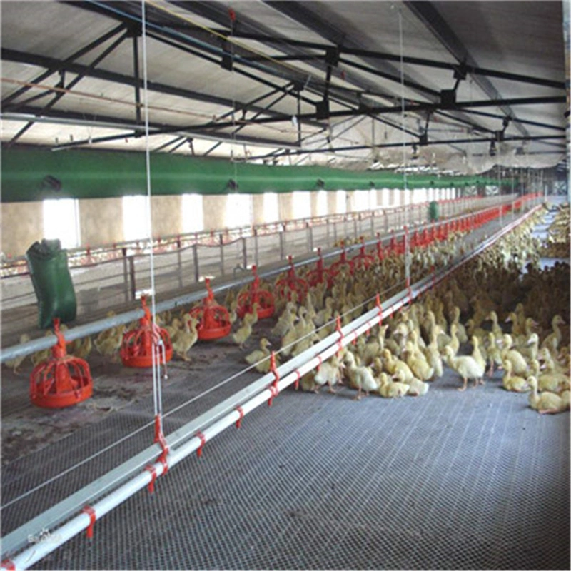 modern Layout Self Assemble Building Material Steel Structure Layer Egg Chicken Cage Broiler Poultry Farm House
