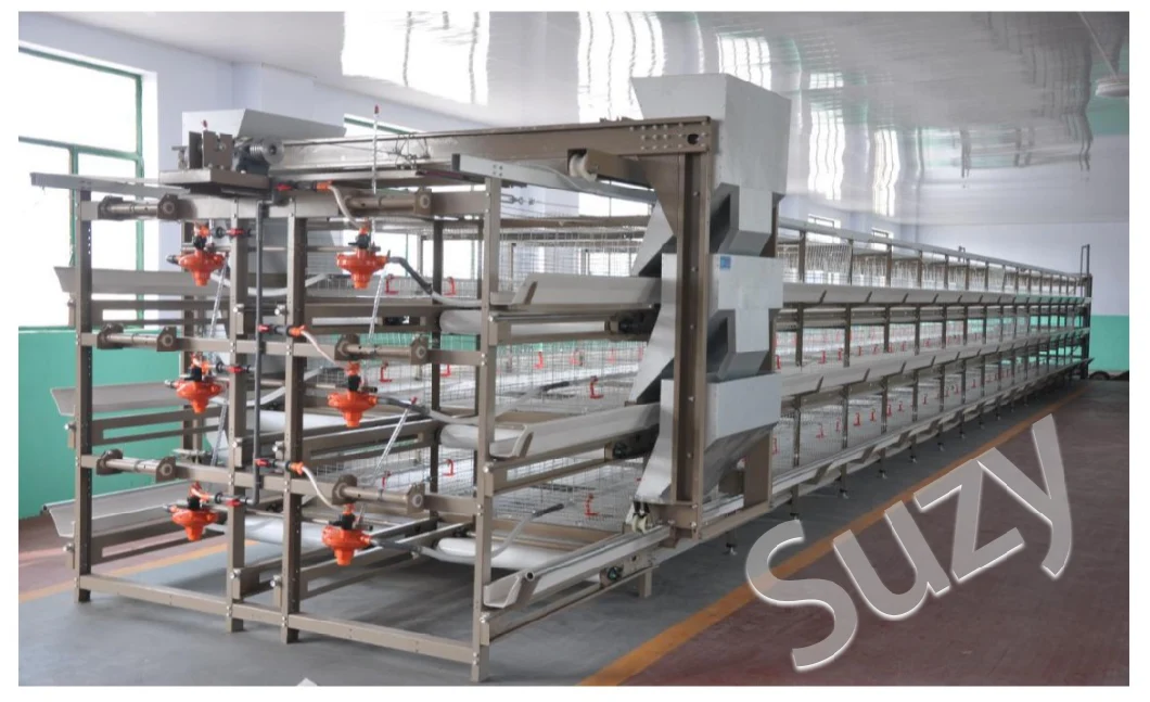 Chicken Cage Feeding Equipment Poultry Steel Structure Chicken House