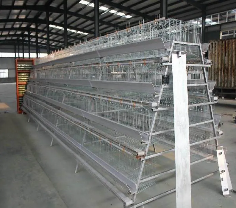 Layer Chicken Cage/Chicken Cage/Poultry Cage