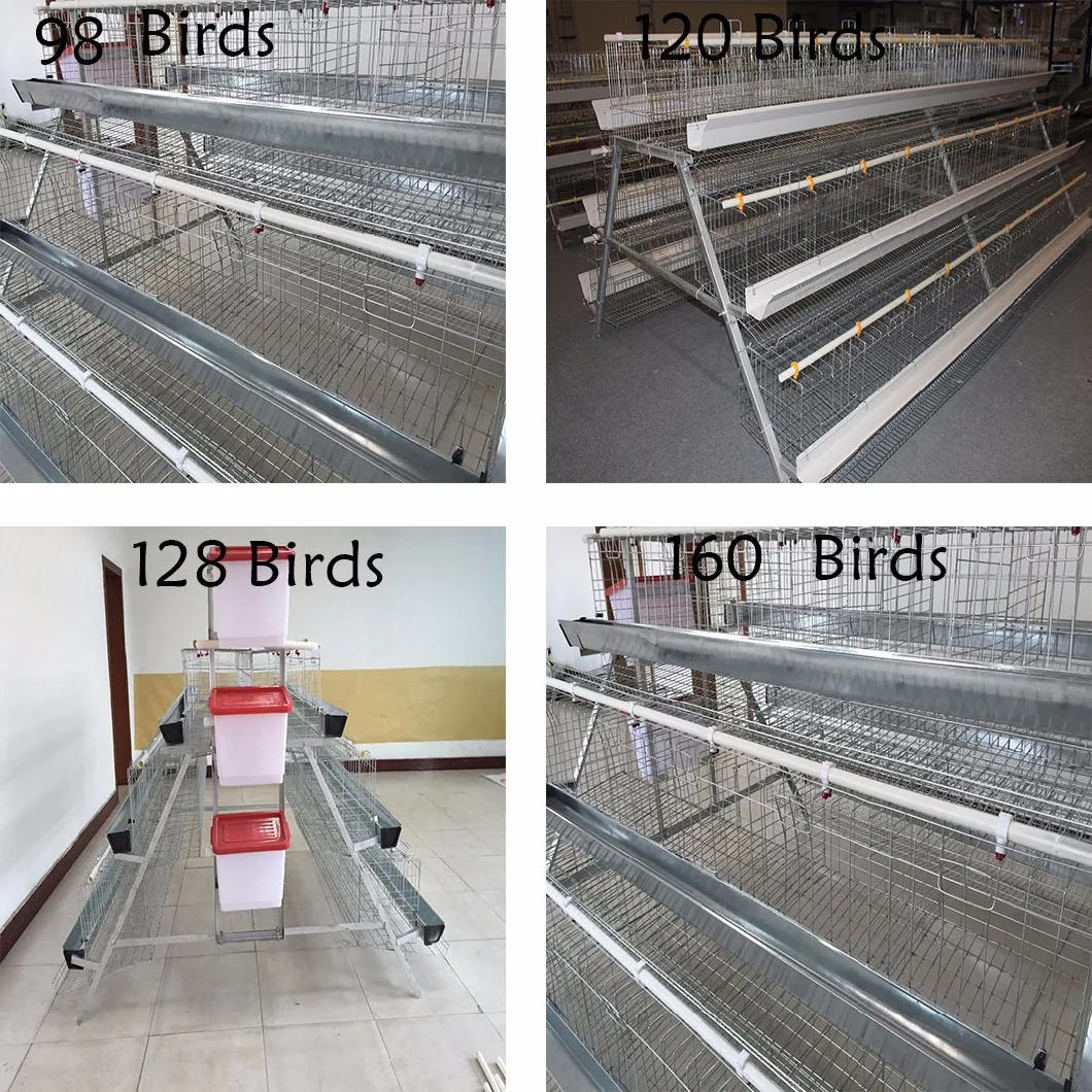 Poul Tech 3-8 Tiers Coop Farm Equipment Chicken Poultry with Low Cost