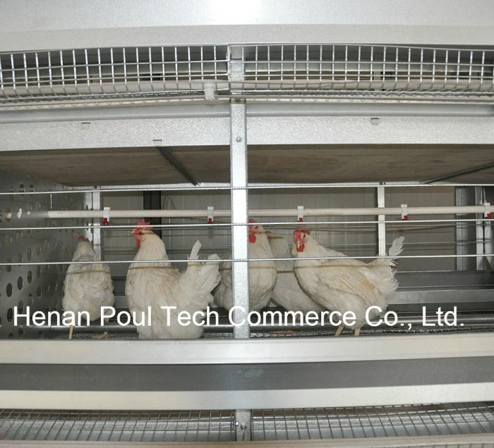 Best Price H Frame Battery Chicken Layer Cages for Sale