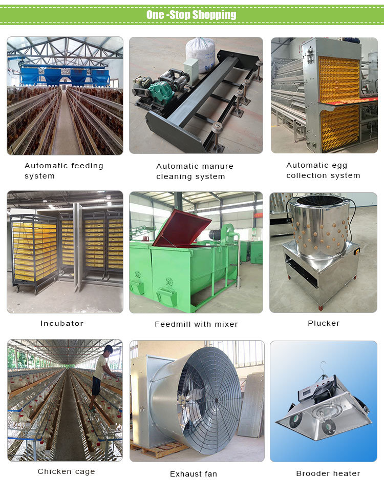 Longmen Shi, Automatic Layer Chicken Feeding Machine/Chicken Breeding System/Chicken Feeding Equipment