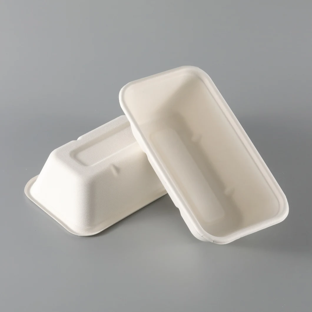 Noodle Take out Boxes, Bagasse Made Meal Food Container for Fried Chicken Fruit Vegetable Box