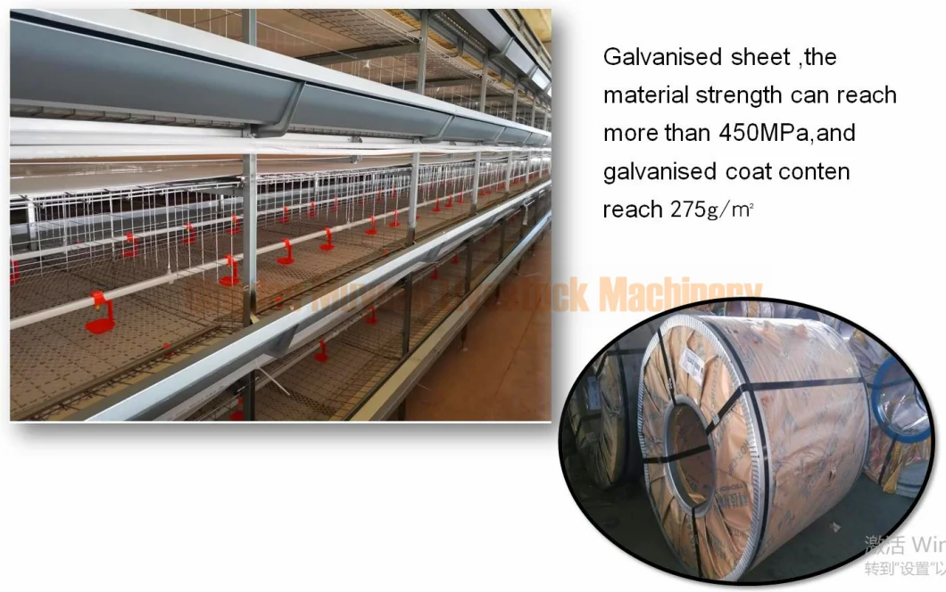 Automatic Farm Chicken Broiler Equipment for Poultry Coop House