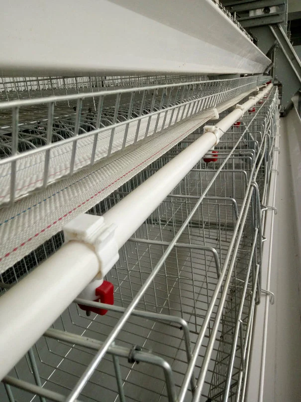 Chicken Cage Layer Poultry Cage for Chicken Farm