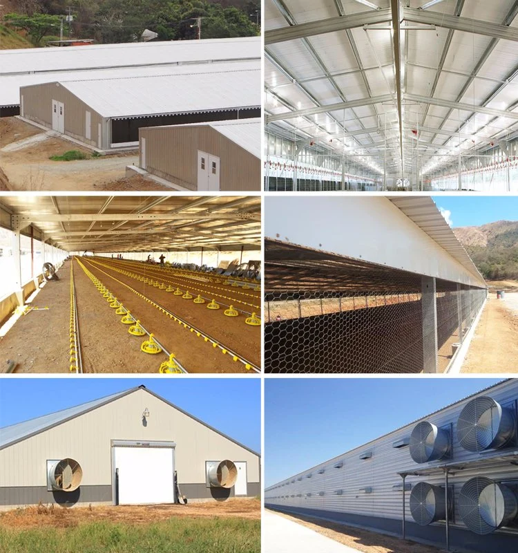 Chicken Poultry Breeding Steel Structure Houses for Sale