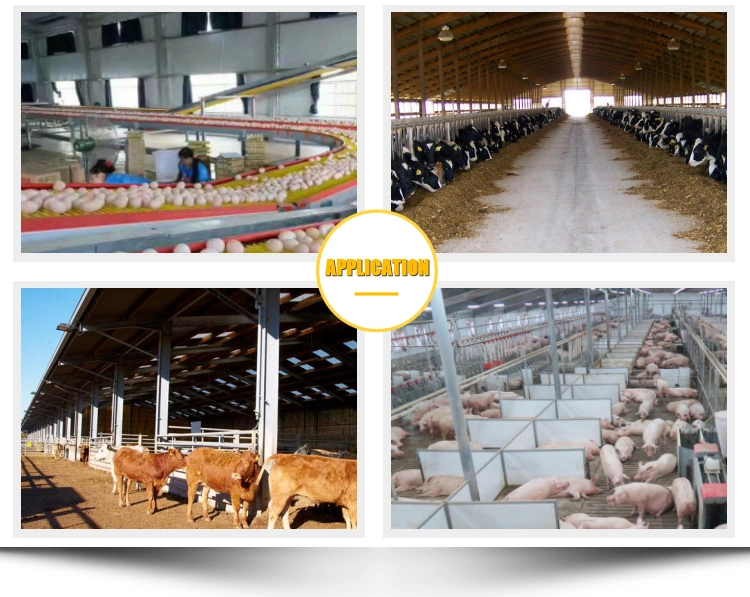 High Quality Chicken Floors, Plastic Slatted Flooring for Chickens Poultry Equipment Farming