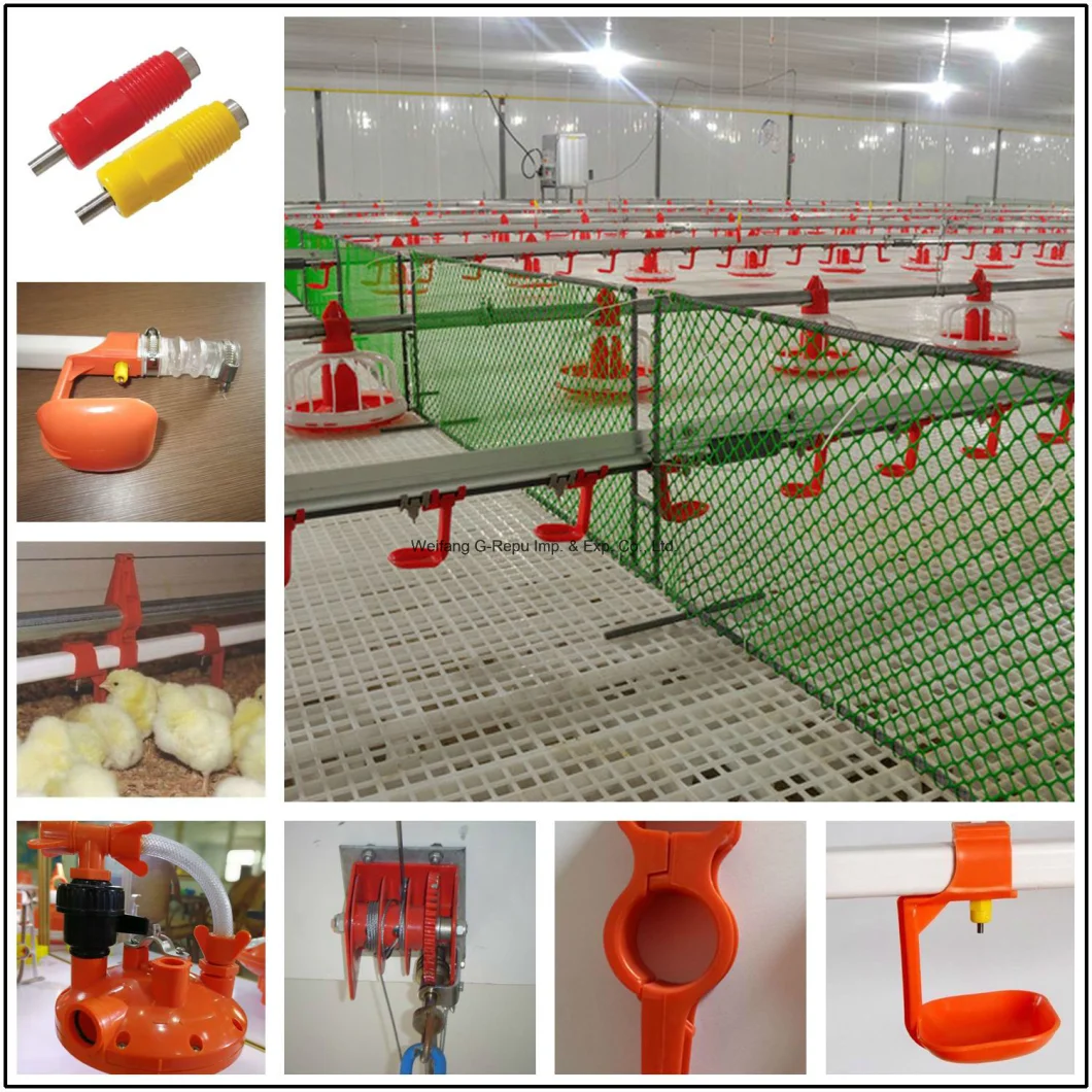 Modern Automatic Poultry Equipment for Broiler Chickens