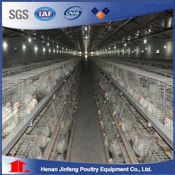 Jinfeng High Quality Pullet Chicken Cage for Sale