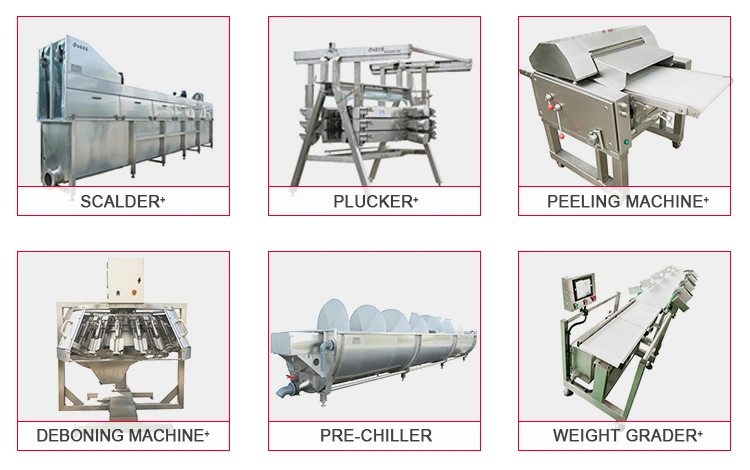 Good Quality Halal Poultry Slaughtering Equipment / Chicken Slaughter Line / Chicken Slaughtering Machine