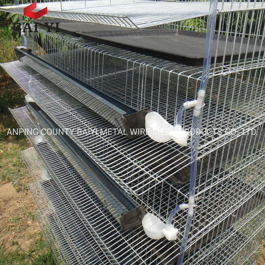 Commercial Layer Quail Cages for Sale in India, South Africa