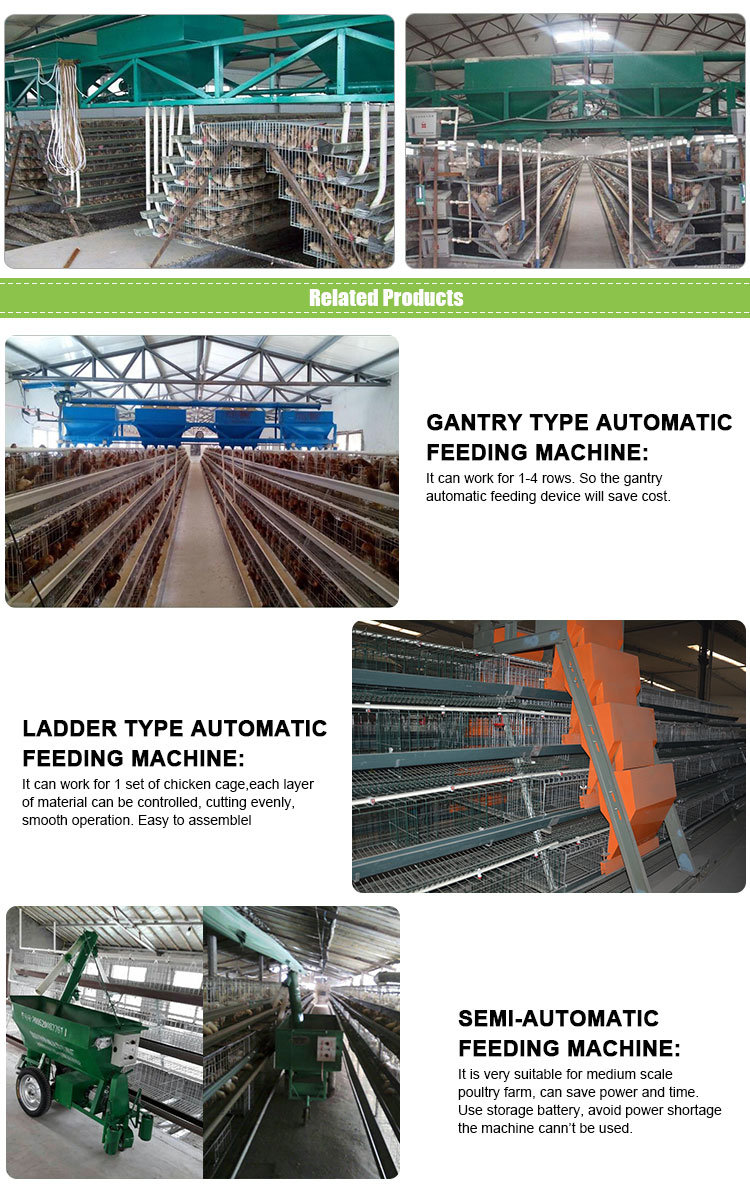 Longmen Shi, Automatic Layer Chicken Feeding Machine/Chicken Breeding System/Chicken Feeding Equipment