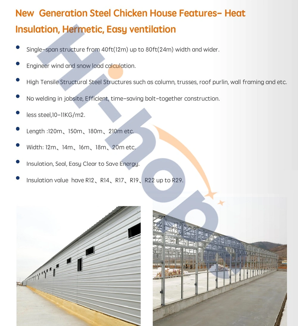 Prefab Steel Construction Structure for Poultry Chicken Breeding Houses