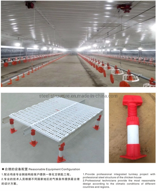 Full-Automatic Industrial Steel Structure Poultry Sheds Building Broiler Chicken Farm House Shed