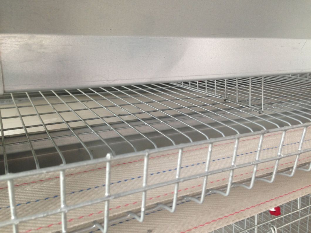 Fully Automatic Chicken Cages Layer for Chicken Farming for Sale