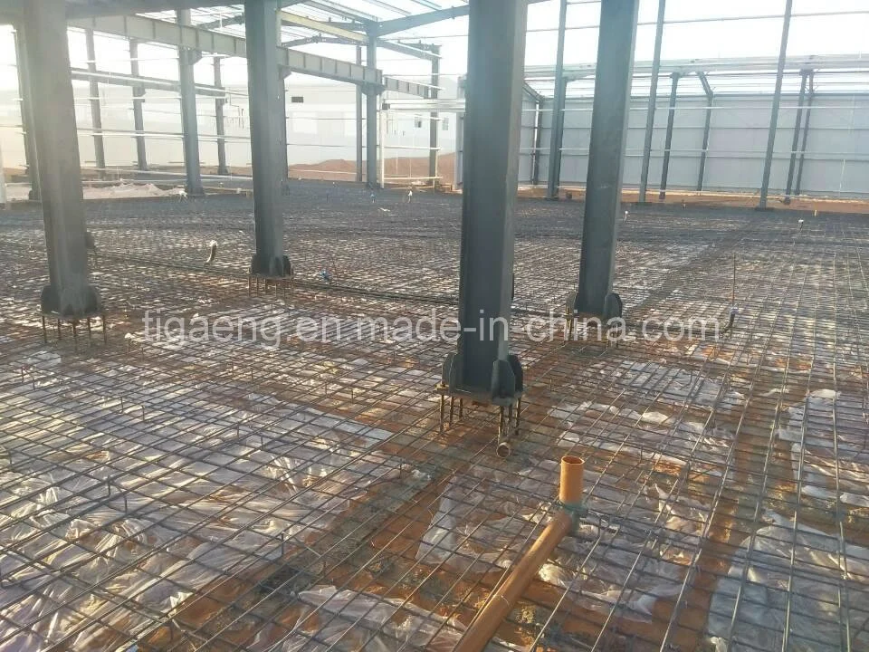 Large Scale Steel Structure Chicken House Building Design Poultry Farming Shed