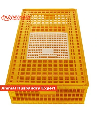 96X56X27cm Plastic Chicken Transport Crate /Poultry Carrying Boxes /Used Poultry Cage