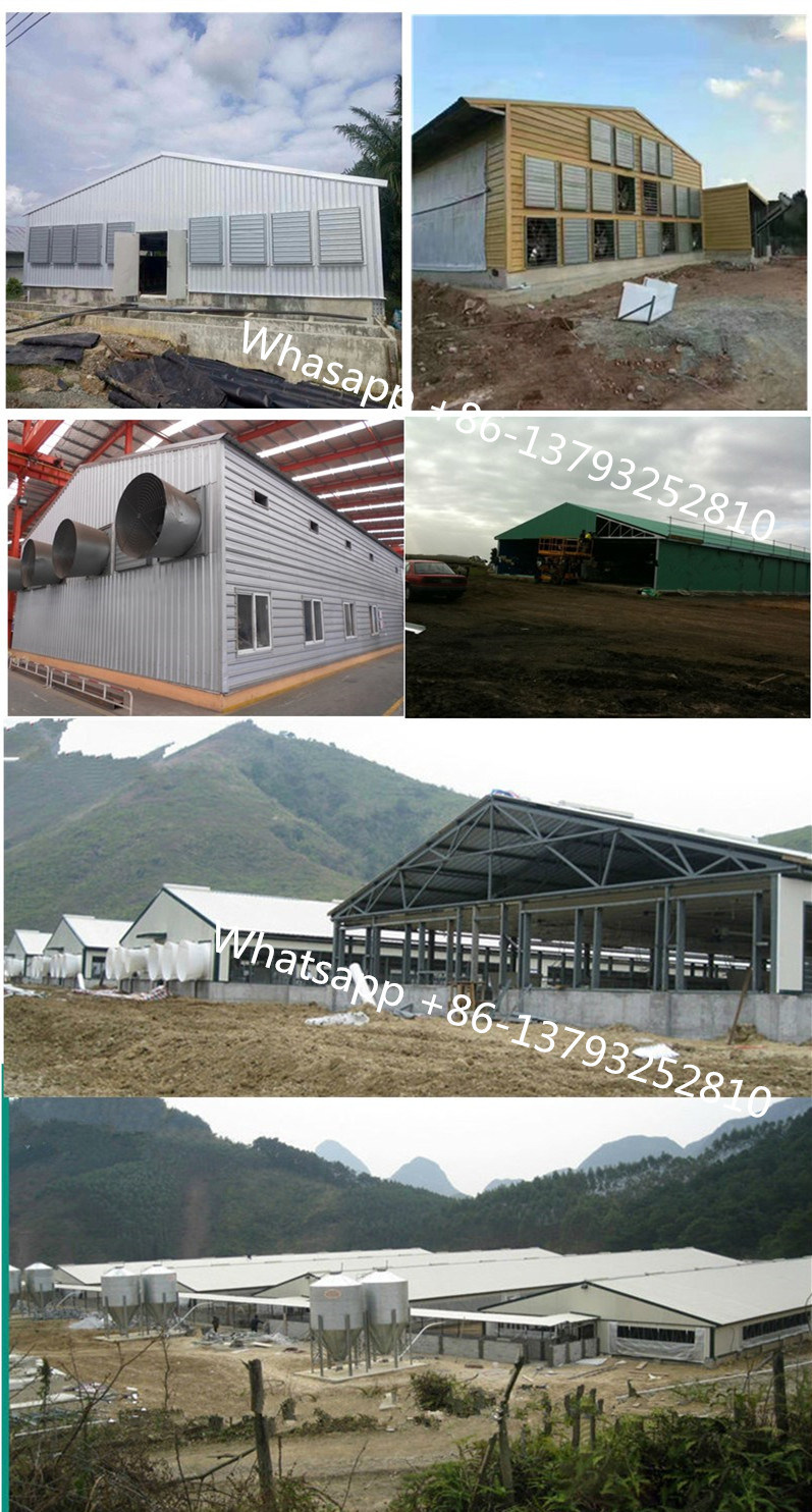 Prefab Low Price Light Steel Structure for Poultry Farm/Poultry Shed/Chicken Farm/Chicken Shed