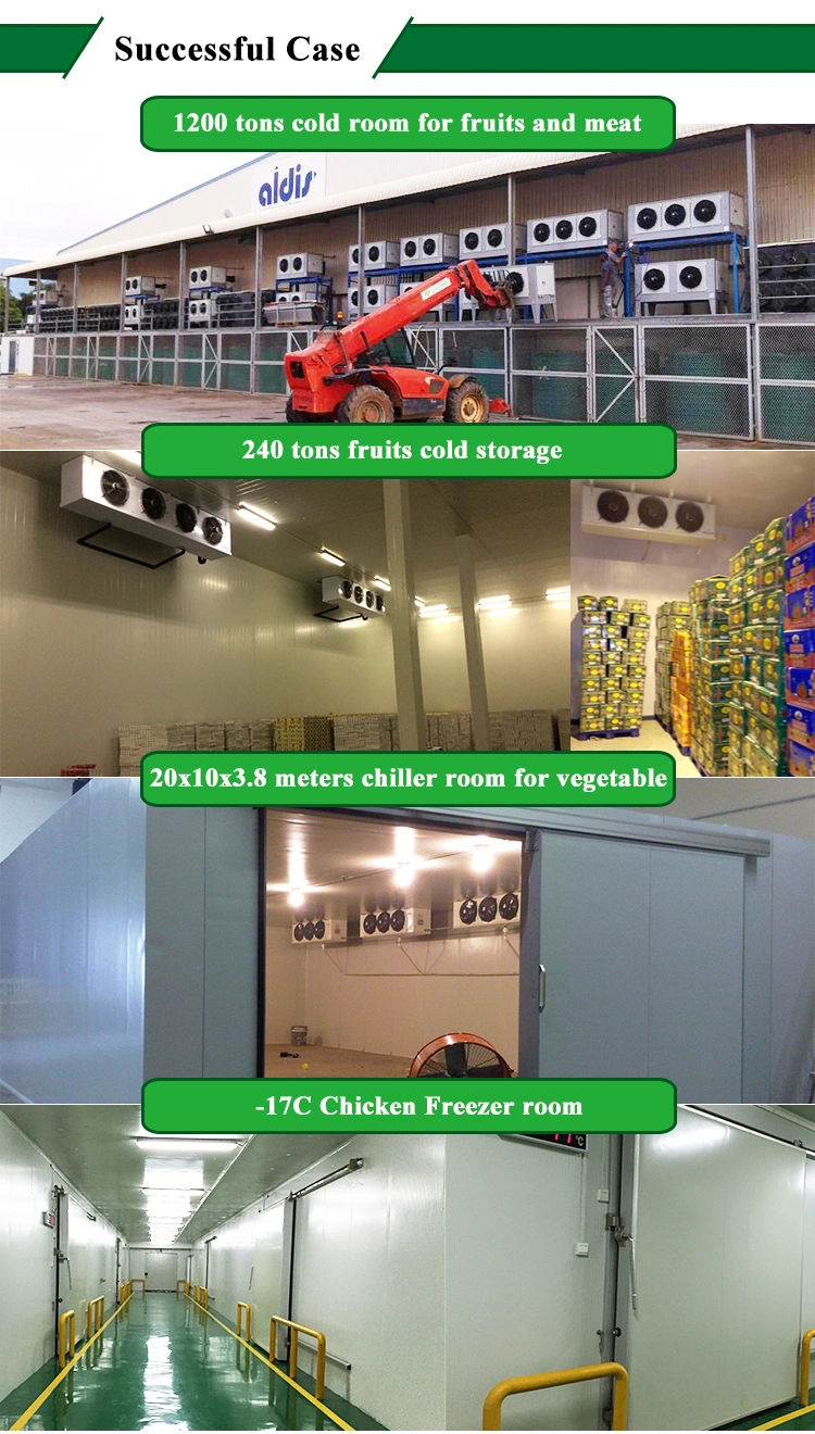 Cabbage Chicken Meat Large Cold Room Cold Storage Freezer Rooms for Sale