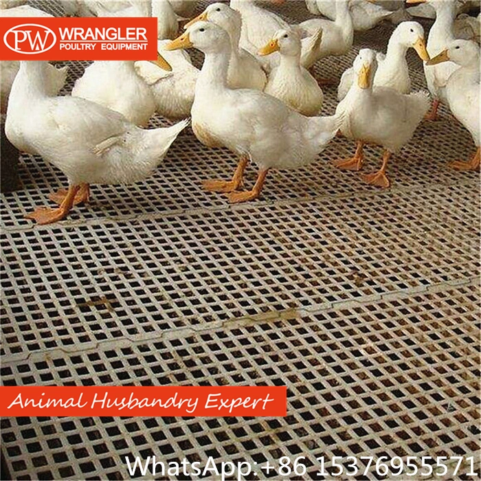 ^Poultry Farm Modified Plastic Slatted Floor for Birds/Poultry/Chickens